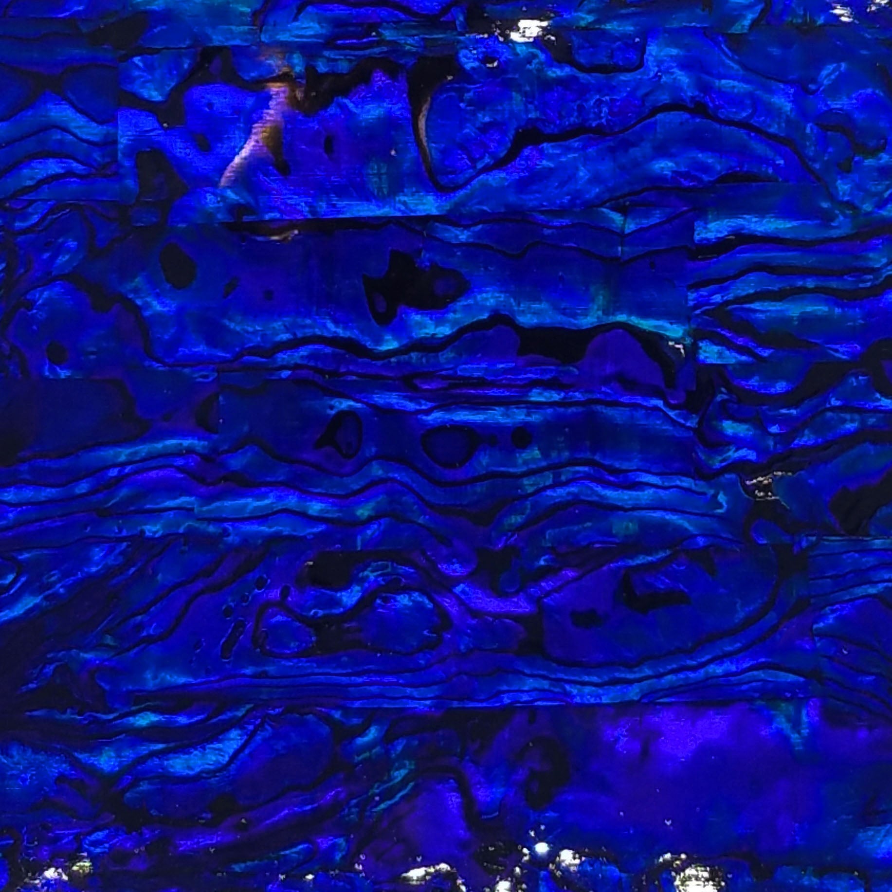 Dark Blue Paua Abalone Sheet