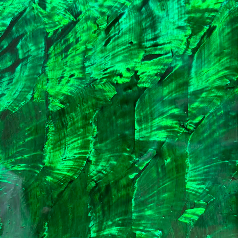 Dark Green Angel Wing Abalone Sheet