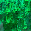 Dark Green Angel Wing Abalone Sheet