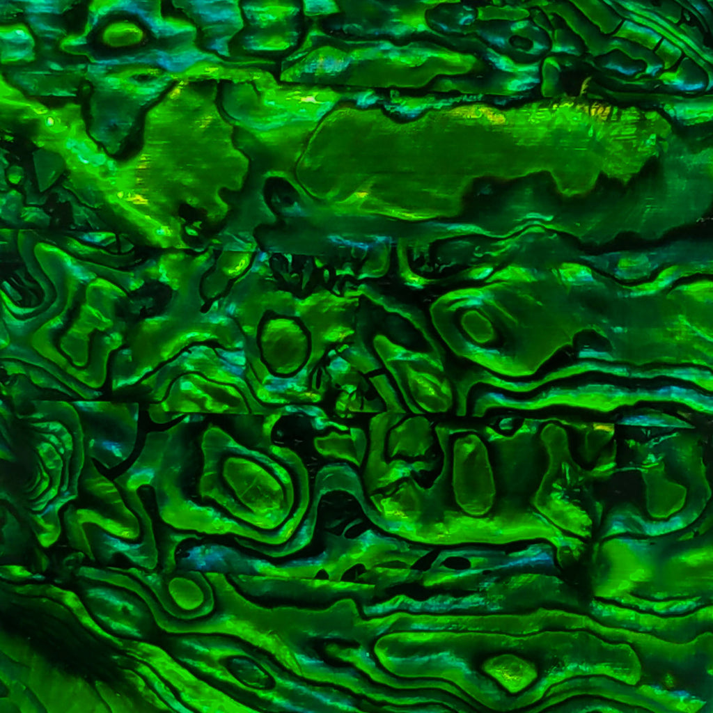 Dark Green Paua Abalone Sheet