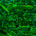 Dark Green Paua Abalone Sheet