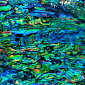 Natural Paua Abalone Sheet