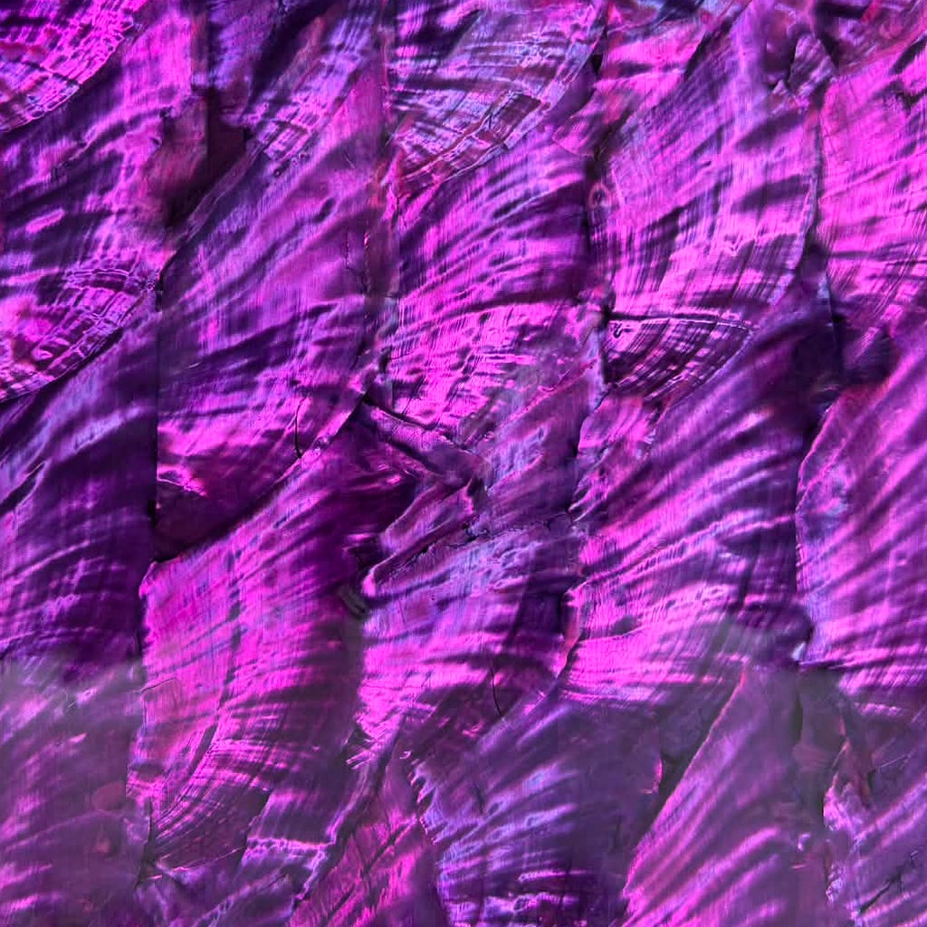 Purple Angel Wing Abalone Sheet