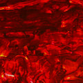 Red Paua Abalone Sheet