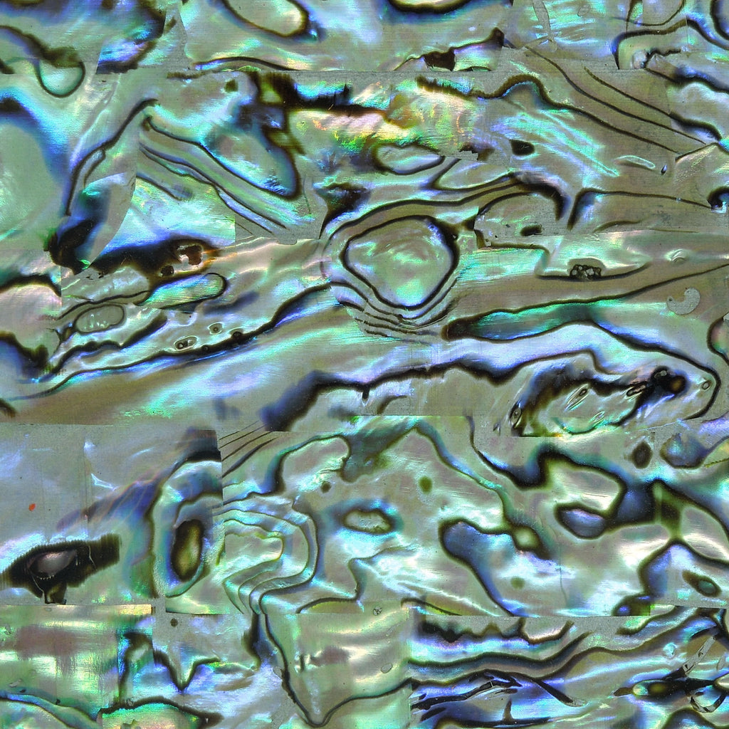 Silver Paua Abalone Sheet