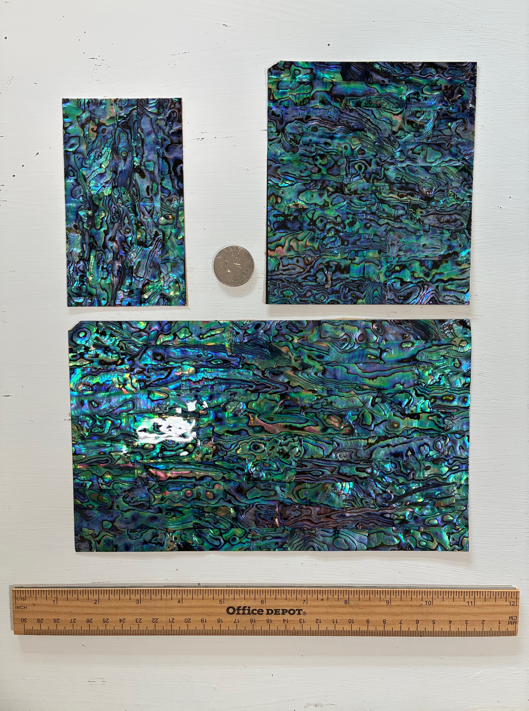 Dark Blue Paua Abalone Sheet