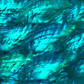Teal Blue Angel Wing Abalone Sheet