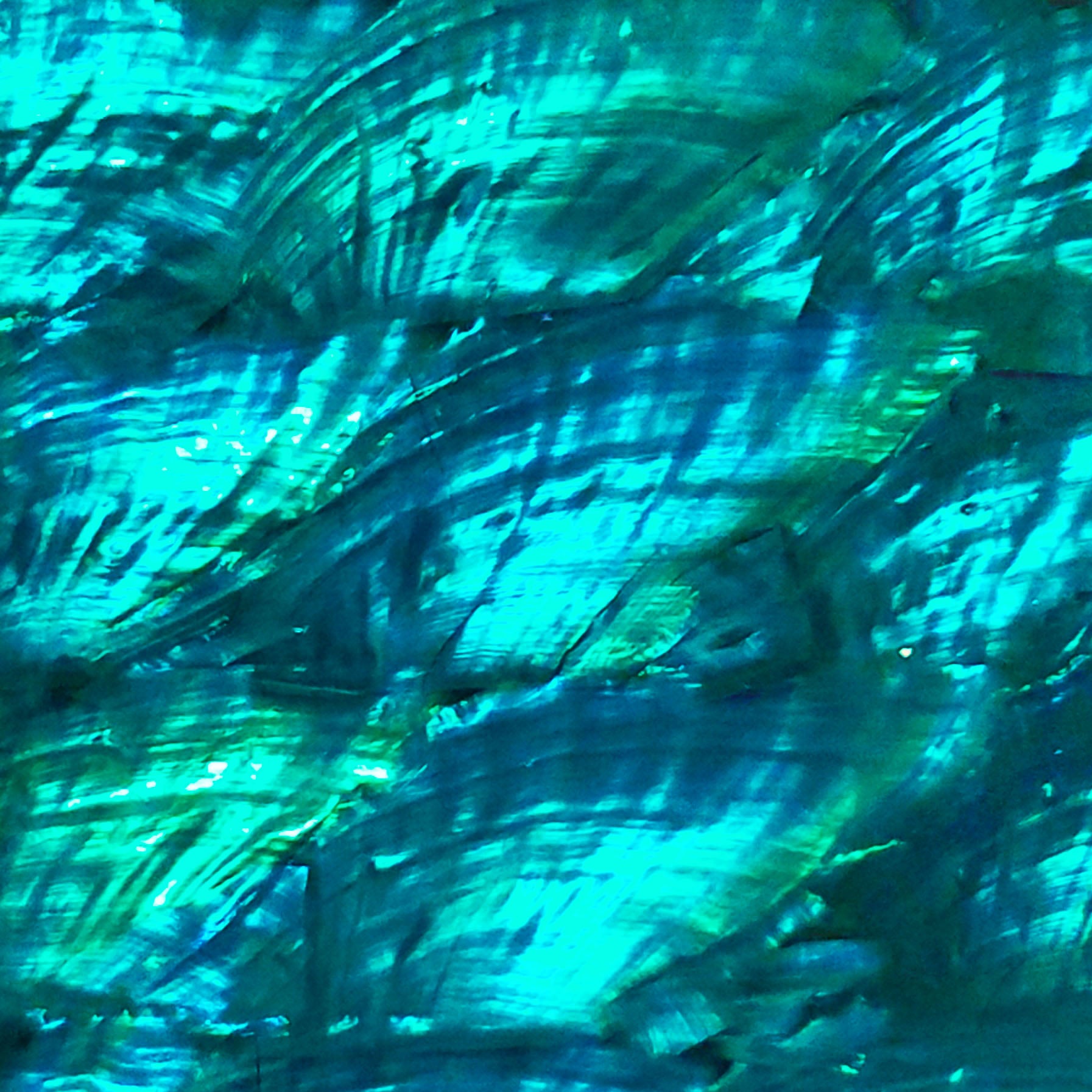 Teal Blue Angel Wing Abalone Sheet