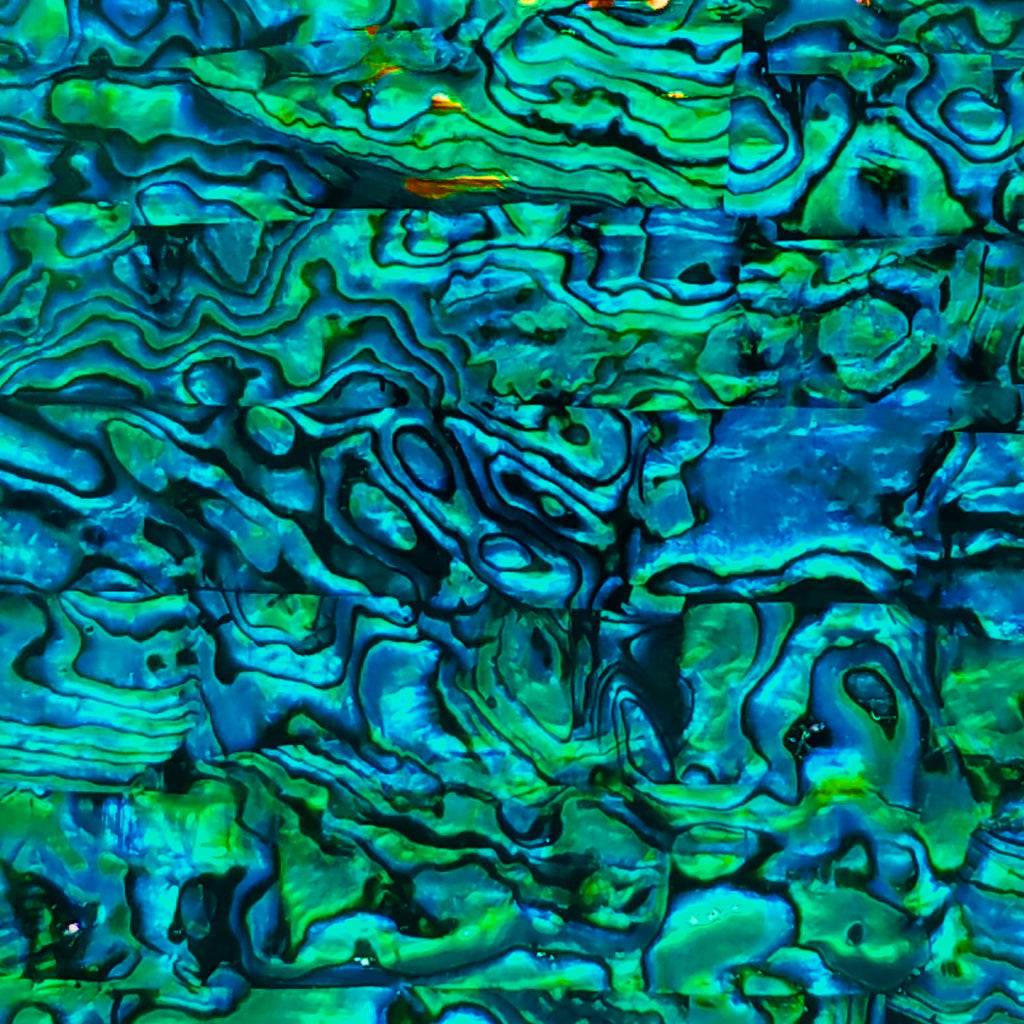 Teal Blue Paua Abalone Sheet