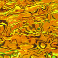 Yellow Paua Abalone Sheet