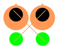 Abalone Inlay Earring File 24