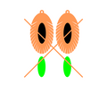 Abalone Inlay Earring File 31