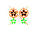 Abalone Inlay Earring File 45