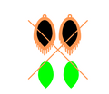 Abalone Inlay Earring File 60