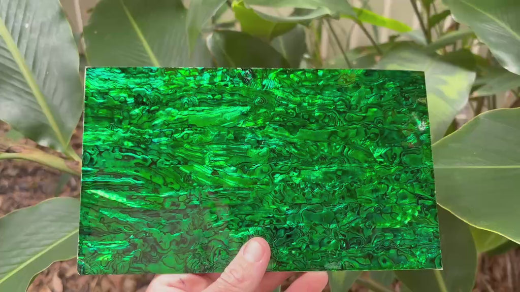 Dark Green Paua Abalone Sheet