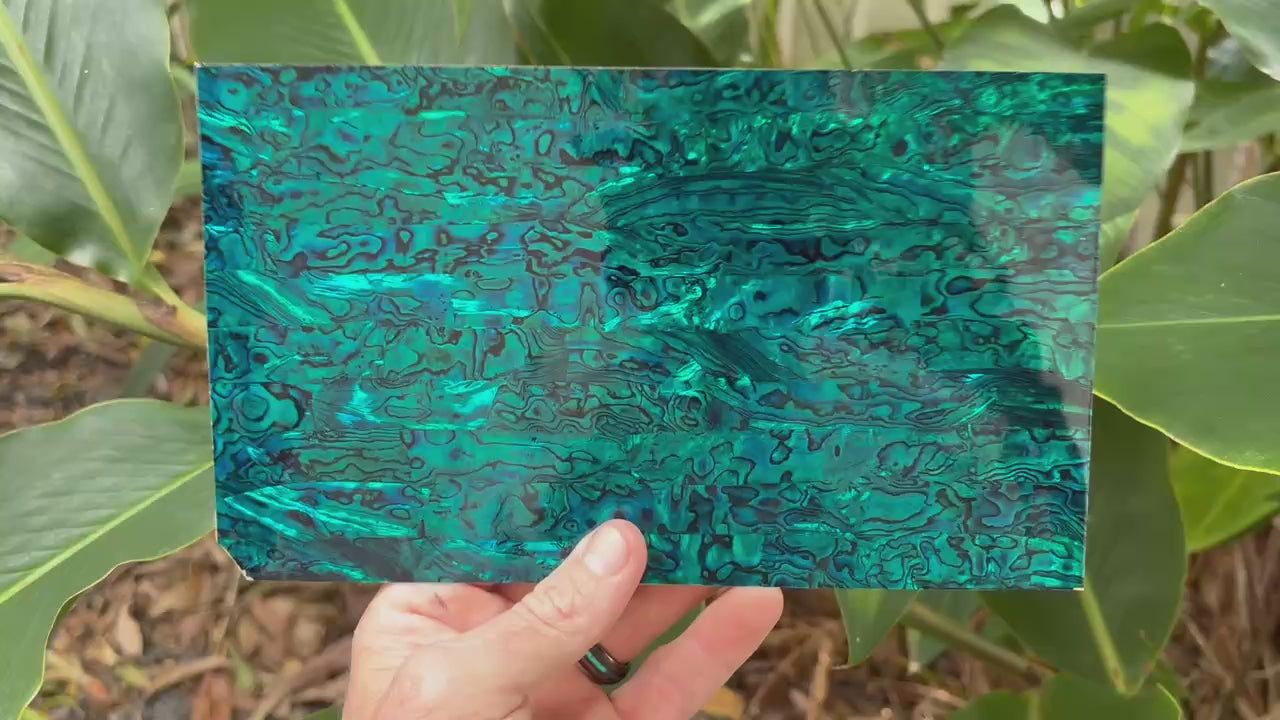 Teal Blue Paua Abalone Sheet