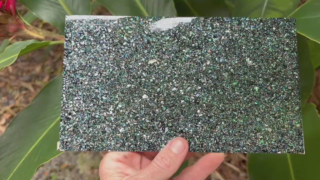 Natural Star Flake Abalone Sheet