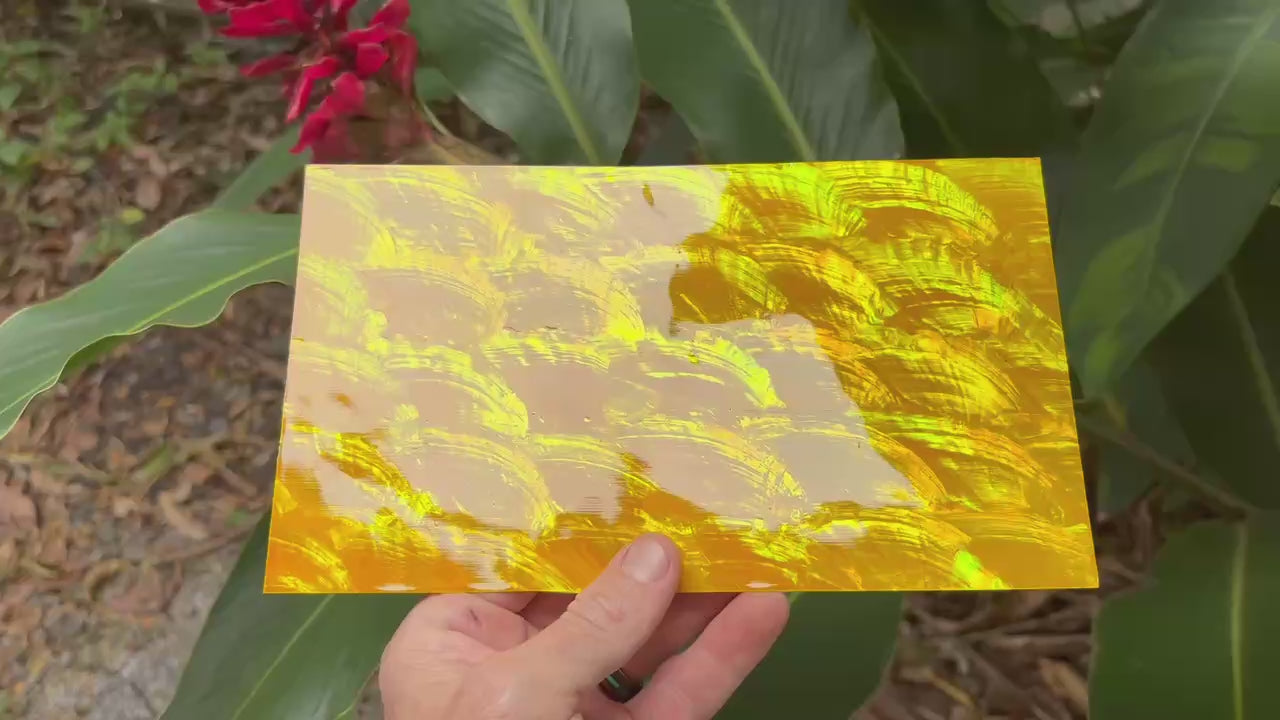Yellow Angel Wing Abalone Sheet