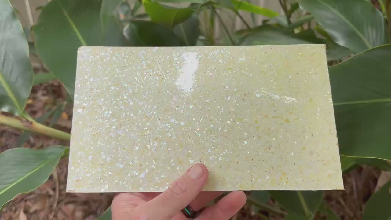 White Star Flake Abalone Sheet
