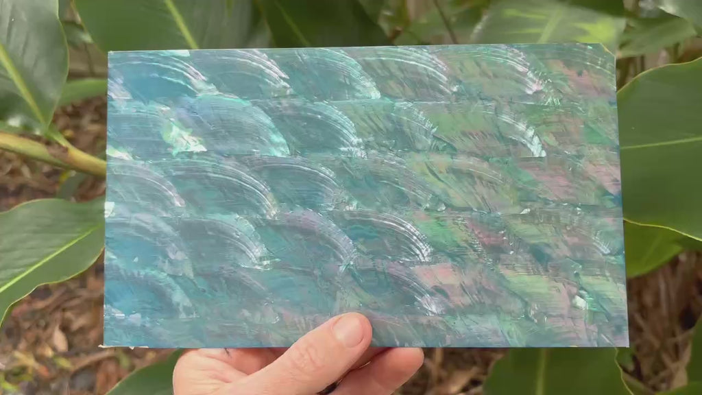 Ice Blue Angel Wing Abalone Sheet