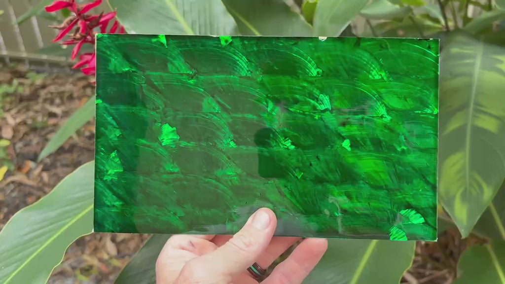 Dark Green Angel Wing Abalone Sheet