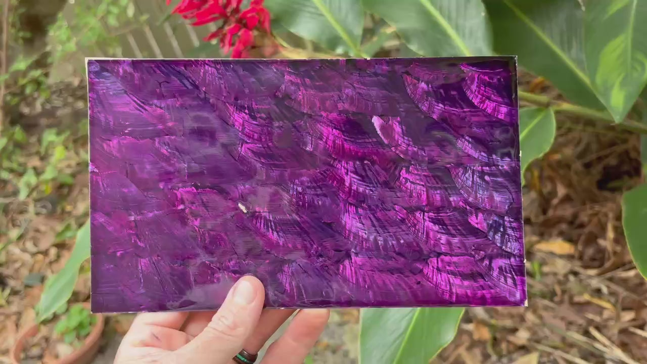 Purple Angel Wing Abalone Sheet