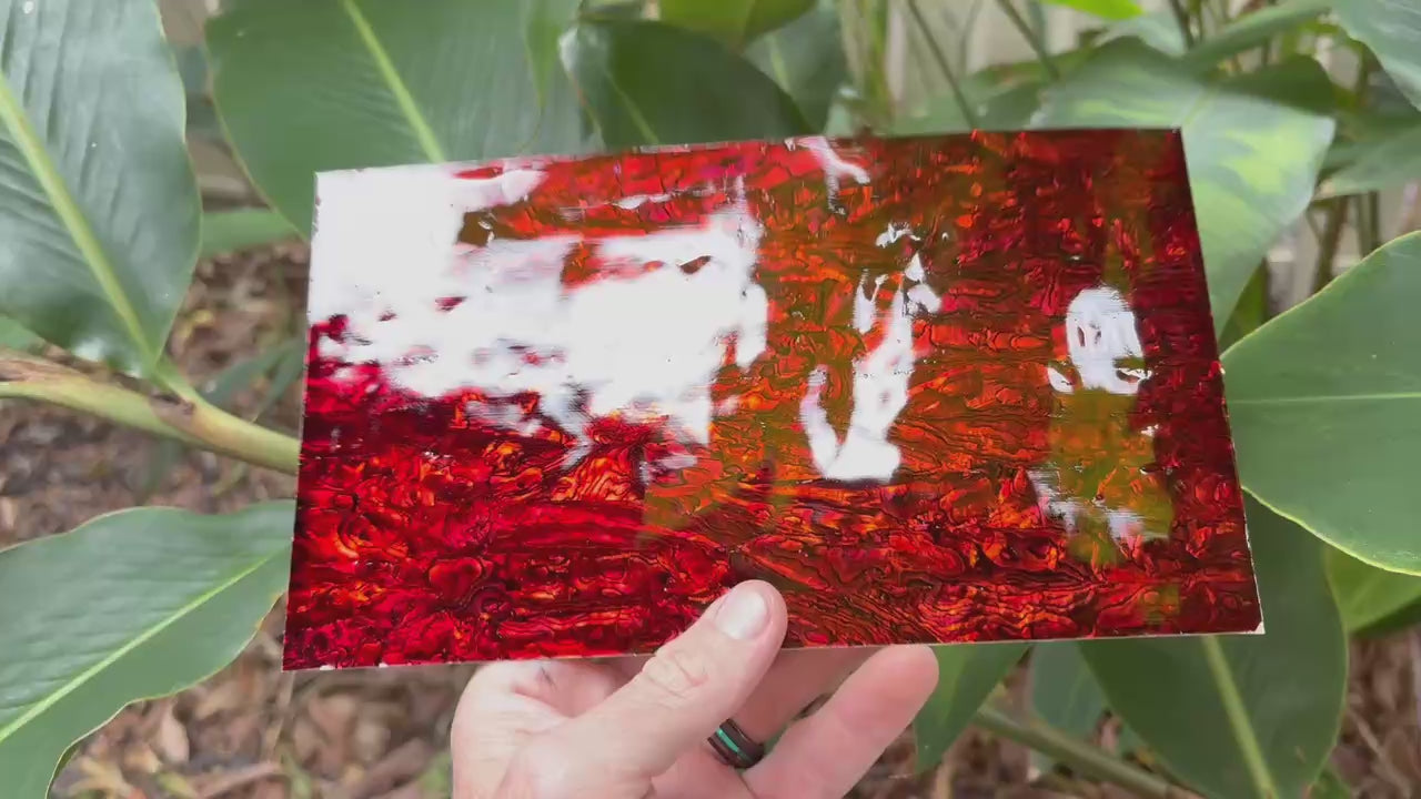 Red Paua Abalone Sheet