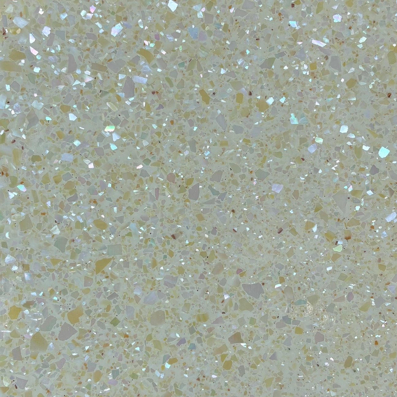 White Star Flake Abalone Sheet